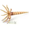 Image de Collecta Figurka FIGURKA ORTHOCERAS - - 88903 - L