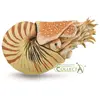 Image de Collecta Figurine FIGURE BEAU BATEAU - - 88907 - XL