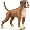 Image de Collecta Figure PIES BOXER