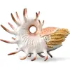 Image de Collecta Figure de Cooperoceras