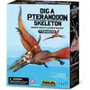 Image de 4M Kit d'excavation Pteranodon