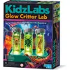 Image de 4M Laboratorio insetti luminescenti