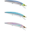 Image de Duel Minnow Aile Magnet Tungsten 30g 145 Mm