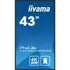 Image de iiyama ProLite LH4360UHS-B2AG (3840 x 2160 pixels, 42.50"), Moniteur, Noir