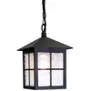 Image de Elstead Lighting, Éclairage d'extérieur, Winchester Lampe à suspendre d'extérieur E27 29cm noir IP43 (E27, IP43)