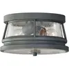 Image de Elstead Lighting, Plafonnier, Chelsea Harbor Plafonnier d'extérieur E27 double Nuage de tempête IP44 (E27)