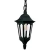 Image de Elstead Lighting, Applique + plafonnier, Lanterne suspendue pour la communauté