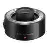 Image de Téleconvertisseur Panasonic Lumix G DMW-TC20E 2x