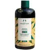 Image de The Body Shop, Shampoing, Shampooing antipelliculaire au gingembre 400ml (Shampoing liquide, 400 ml)