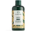 Image de The Body Shop, Shampoing, Ginger (Shampoing liquide, 250 ml)