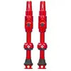 Image de Muc Off Soupapes Big Bore Lite Tubeless