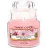 Image de Yankee Candle, Bougie parfumée, Cherry Blossom (623 g)