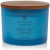 Image de Chesapeake Bay Candles, Bougie parfumée, Mousse de Chêne