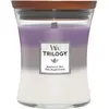 Image de WoodWick, Bougie parfumée, Amethyst Sky (275 g)
