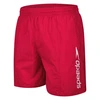 Image de Speedo Short De Bain Scope 16´´