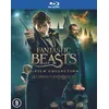 Image de Fantastic Beasts 1-3 - Bilingue FR/NL - Bluray