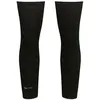Image de Rapha Chauffe-genoux Merino