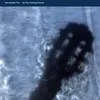 Image de On The Turning Ground