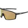 Image de Endura, Unisexe, Lunettes de sport, Dorado II Jr (Noir, Marron), Noir