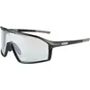 Image de Endura, Unisexe, Lunettes de sport, Gabbro II (Noir, Gris), Noir