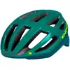 Image de Endura Casque Fs260-pro Mips