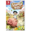 Image de Nintendo Games Switch Everdream Valley