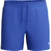 Image de Speedo Short De Bain Essential 16´´