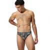 Image de Speedo Slip De Bain Print Beachstar 2''
