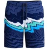 Image de Speedo Short De Bain The Lookout 18´´ Print