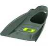 Image de Speedo, Palmes