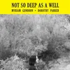 Image de Not So Deep As A Well
