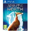 Image de Merge Games, Spirit of the North