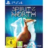 Image de Playstation Games Ps4 Spirit Of The North