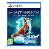 Image de Spirit of the North PS5