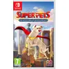 Image de Game, Outright Games DC League of Super-Pets : Adventures of Krypto and Ace Standard Multilingue Nintendo