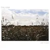Image de And The Sun Vinyle Blanc