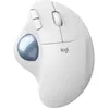 Image de Logitech Souris Ergonomique Sans Fil Ergo M575 2000 Dpi