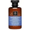 Image de Apivita, Shampoing, Soins capillaires holistiques Prébiotiques & Miel (Shampoing liquide, 250 ml)
