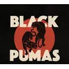 Image de Black Pumas