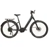 Image de Urban Jungle Vélo électrique Barrio 3.0 Performance