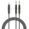 Image de Nedis Câble Audio Stéréo Coth23200gy30 M-m Nickelé 2x 6.35mm 3.5mm 3 M