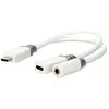 Image de Nedis Adaptateur Usb-c Ccbw64922wt01 Usb 2.0 Usb-c M-usb-c F/f Plaqué Or 3.5mm 0.1 M