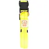 Image de EBI Collier Duvo+ Nylon Flash lumineux USB (Chat, Chien, Promenade), Collier + laisse