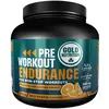 Image de Gold Nutrition Endurance Pré-entraînement Orange 300gr