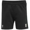 Image de Hummel Short Sweat