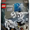 Image de LEGO Fossiles de dinosaures (21320, LEGO Ideas)