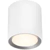 Image de Nordlux, Applique + plafonnier, Landon Long (600 lm)