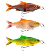 Image de Savage Gear Leurre Souple 3d Line Thru Glide Roach 78g 170 Mm