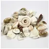 Image de Creativ Company Perles de coquillages de plage
