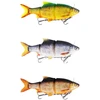 Image de Westin Glidebait Ricky The Roach Inline Sinking 210g 250 Mm